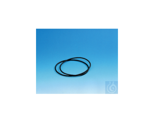 9791-0252 Уплотнительное кольцо Burkle, эксикатор 250 мм