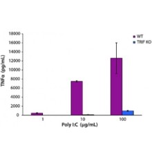 Натриевая соль полиинозиновой αβполицитидиловой кислоты TLR лиганд испытан Sigma P1530