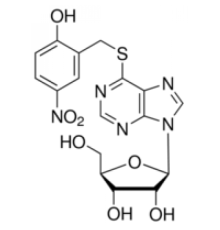 S- (2-гидрокси-5-нитробензилβ6-тиоинозин Sigma H8260