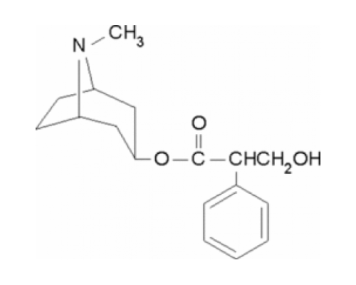 L-Гиосциамин 98% (ТСХ), порошок Sigma H9002