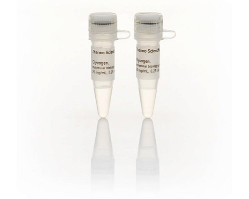 Гликоген, для работы с ДНК, 20 мг/мкл, Thermo FS