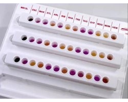 Набор для биохимической идентификации листерий, Microbact 12L, 20 тестов/уп, Thermo FS